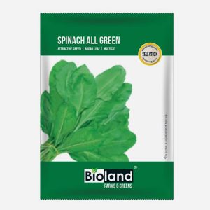 BIOLAND Spinach All Green ( Palak beej ) Seeds