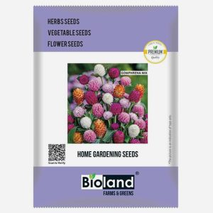 BIOLAND Gomphrena Mix Flower Seeds For Home Gardening