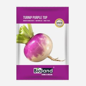 BIOLAND Turnip Purple Top (Shalgam Beej) Seeds for Sowing Purpose