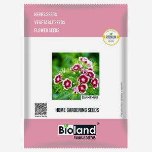 BIOLAND Dianthus Flower Seeds (Phool ke Beej)