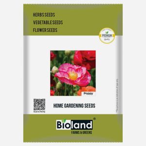 BIOLAND Poppy Flower Seeds (Phool Ke Beej)