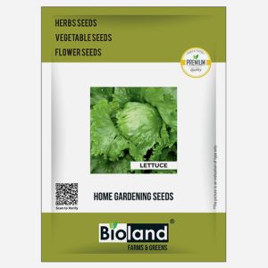 BIOLAND Grand Rapids Lettuce Seeds