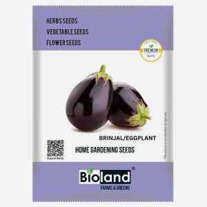 BIOLAND Brinjal Seeds | Organic Eggplant seeds