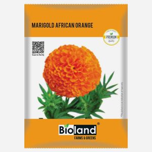 BIOLAND Marigold African Orange (Genda Phool ka Beej) Seeds