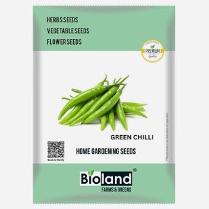 BIOLAND Green Chilli Pepper Seeds for Home Gardening | Pepper Seeds for Kitchen Garden (Mirchi Beej)