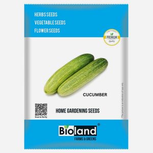 BIOLAND Hybrid Cucumber Seeds | Kheera Beej (12+ Seeds)