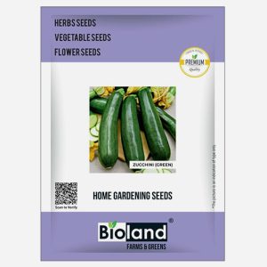 BIOLAND F1 Hybrid Green long Squash Zucchini Seeds