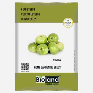 BIOLAND Tinda seeds