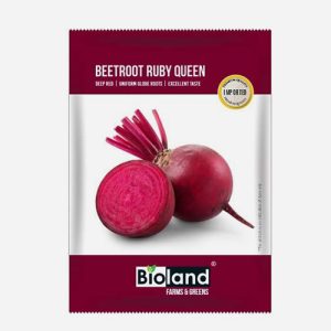 BIOLAND Beetroot Ruby Queen (Chukundar Beej) Seeds