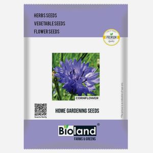 BIOLAND Cornflower Flower Seeds