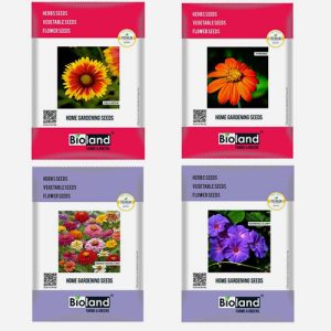 BIOLAND Spring Season Flower Seeds Combo of 4 | Gaillardia, Tithonia, Morning Glory and Zinnia Double Mix seeds for Kitchen Gardening