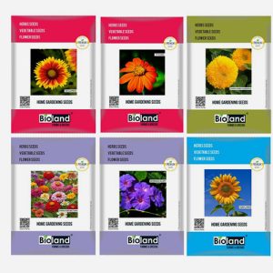 BIOLAND Spring Season Flower Seeds Combo of 6 | Gaillardia, Tithonia, Balsam Dwarf, Portulaca, Morning Glory and Zinnia Double Mix seeds