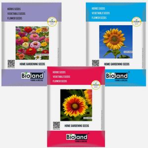 BIOLAND Spring Season Flower Seeds Combo of 3 | Gaillardia, Sunflower and Zinnia Double Mix seeds