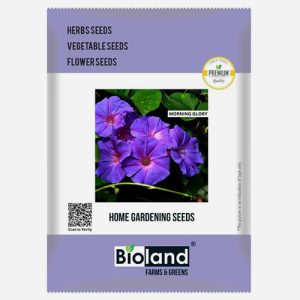 BIOLAND Morning Glory Seeds