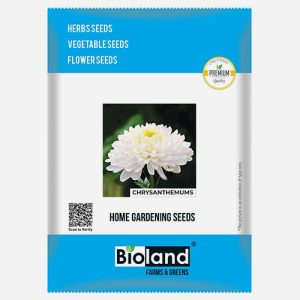 BIOLAND Chrysanthemums Flower Seeds