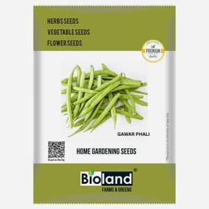 BIOLAND Gawar Phali Seeds For Home Gardening