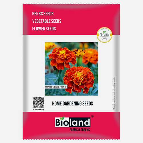 BIOLAND Marigold Red French Flower Seeds