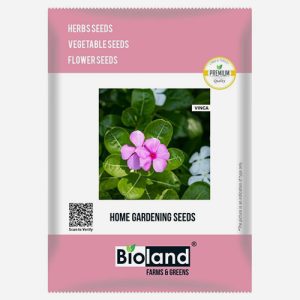 BIOLAND Vinca Seeds For Home Garden